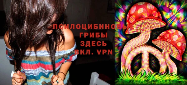 apvp Вязники