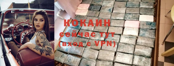 индика Ростов