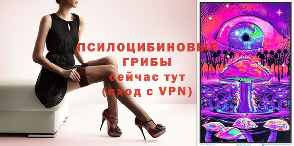 jwh Вяземский
