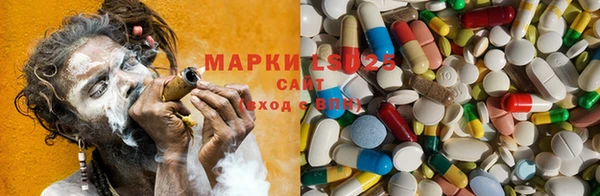 apvp Вязники